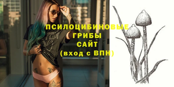 mix Абаза