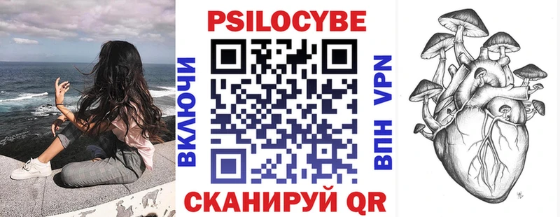 Псилоцибиновые грибы мицелий  закладки  Ильский 